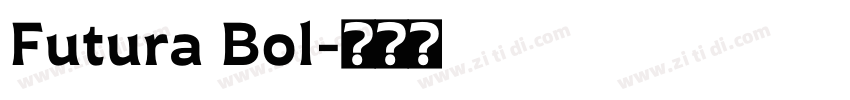 Futura Bol字体转换